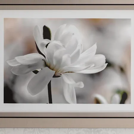 Апартаменты Velours Oasis - With Pool, Sauna & Gym - At The Baltic Sea Дзивнув